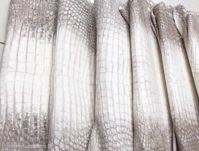 Alligator Skins Hersteller